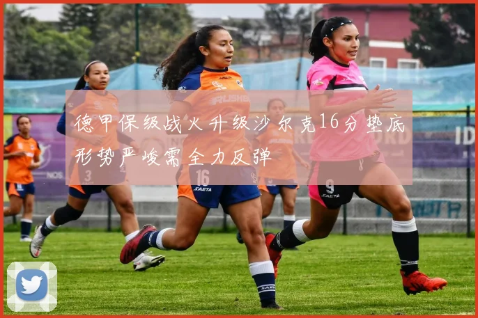 德甲保级战火升级沙尔克16分垫底形势严峻需全力反弹